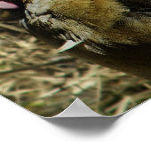 Ägyptischer Gänsedruck Poster (Ecke)