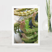 Ägyptischer Grasshopper Nymph auf der Carrion Cact Karte (Vorderseite)