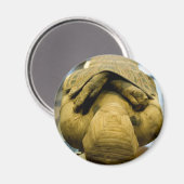 Ägyptischer Mummy Magnet (Vorderseite/Rückseite)