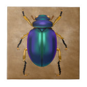 Ägyptischer Sandkäfer Fliese (Vorderseite)