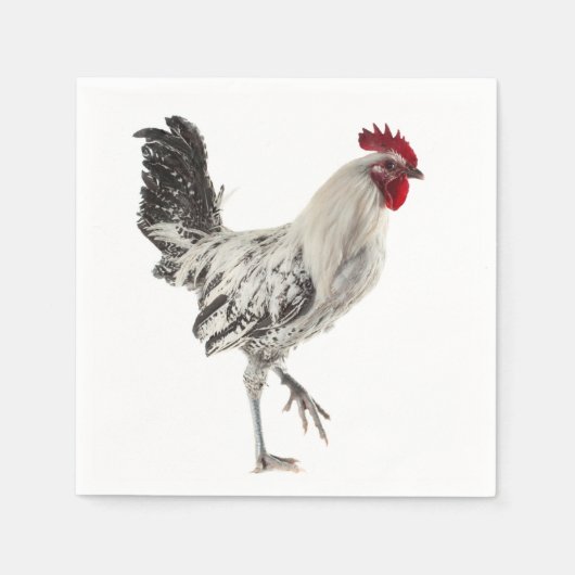 Ägyptisches Fayoumis-Rooster Serviette (Vorderseite)