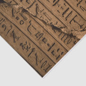 Ägyptisches Hieroglyphics-Gewebepapier Seidenpapier (Ausschnitt)