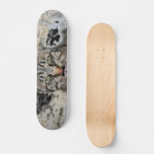 Ägyptisches Katzen-Skateboard Skateboard (Vorderseite)