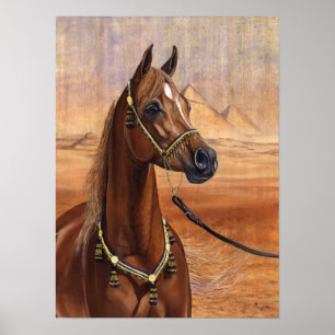 Ägyptisches Plakat Prinzessin Arabian Pferdealle