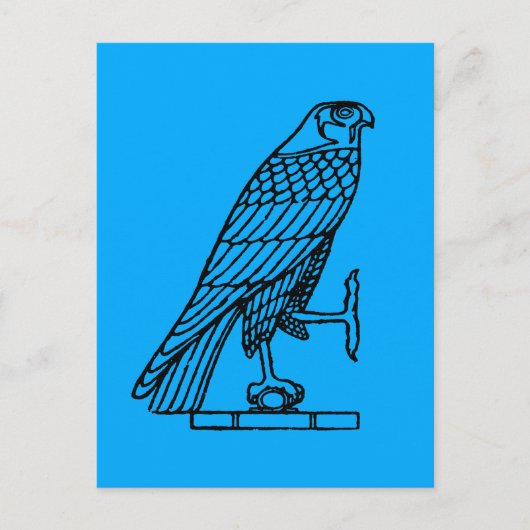 Ägyptisches Symbol: Falcon Postkarte (Vorderseite)