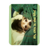 "Ah, das ist das Leben!" Beagle 3x4 Kühlschrankmag Magnet (Vertikal)