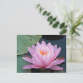 AH- Rosa Wasserlilie Postkarte (Stehend Vorderseite)