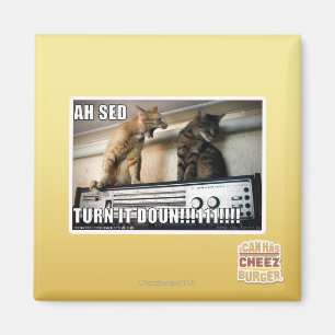 Ah Sed Dreh es ab! Magnet