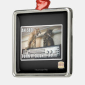 Ah Sed Dreh es ab! Silbernes Ornament (Links)