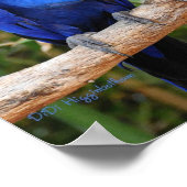 Ahh dort poster (Ecke)