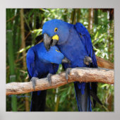 Ahh dort poster (Vorne)