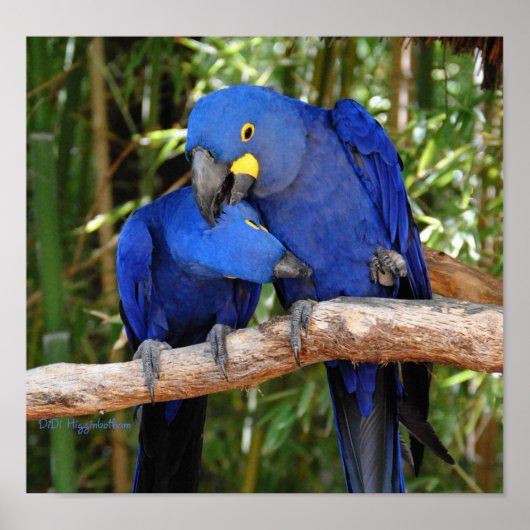 Ahh dort poster (Vorne)