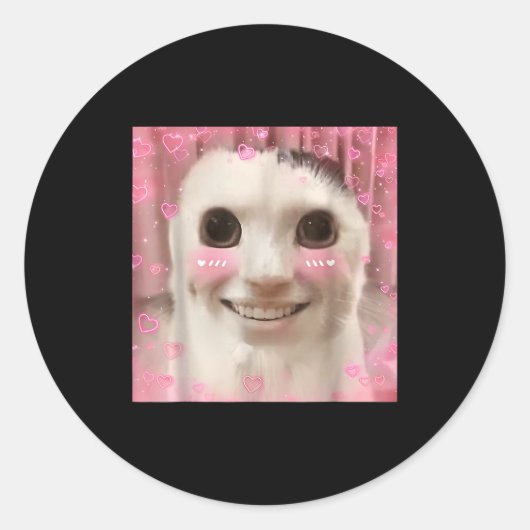 Ahh Katzen-Meme Dank Verflucht Weirore Lustig Dank Runder Aufkleber (Vorderseite)