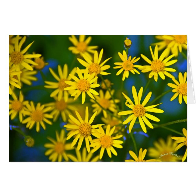 Ahhh, Frühling (Vorderseite (Horizontal))