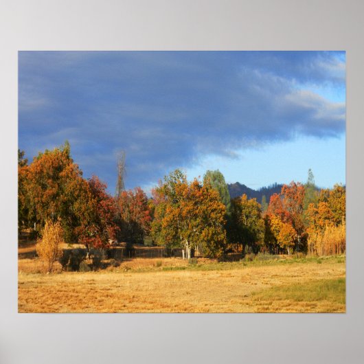 Ahhhh die Farben des Herbstes.... Poster (Vorne)