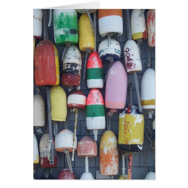 Ähnlichkeit in einem Meer von Unterschieden (Vorne)