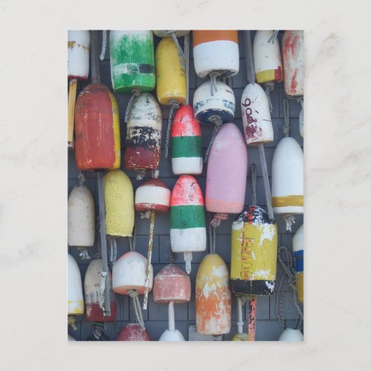 Ähnlichkeit in einem Meer von Unterschieden Postkarte (Vorderseite)