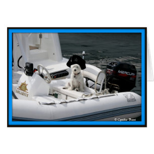 Ahoi kameradschaftlich