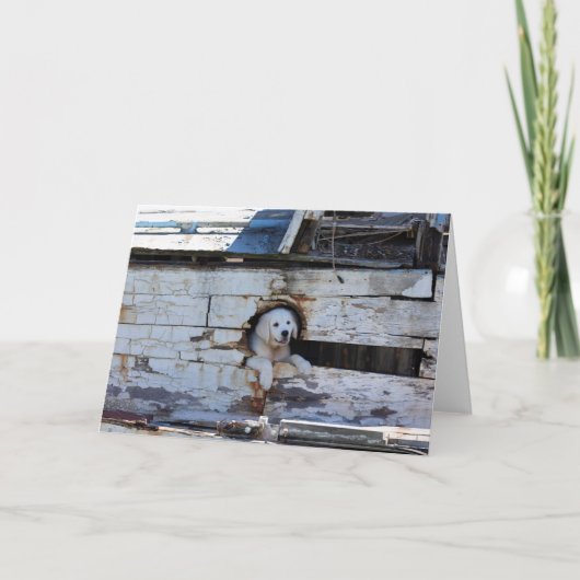 Ahoi kameradschaftliche Karte (Vorderseite)