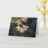 Ahorn 5 karte (Gelbe Blume)