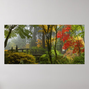 Ahorn-Baum-Herbstfarben im japanischen Poster