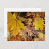 Ahorn-Blätter Gelbe Herbstnatur (Vorne/Hinten)