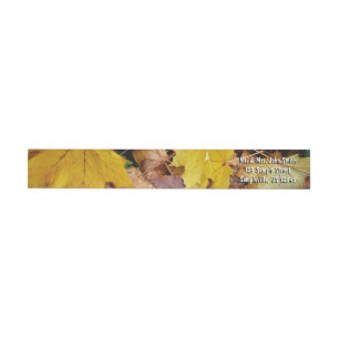 Ahorn-Blätter Gelbe Herbstnatur