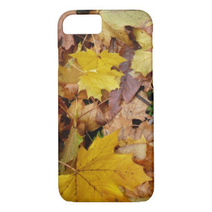 Ahorn-Blätter Gelbe Herbstnatur Case-Mate iPhone Hülle