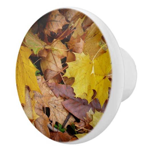 Ahorn-Blätter Gelbe Herbstnatur Keramikknauf (Rechts)