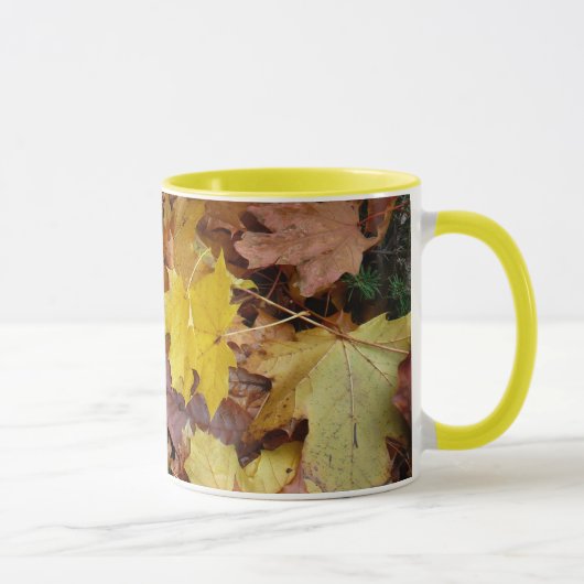 Ahorn-Blätter Gelbe Herbstnatur Tasse (Rechts)