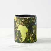 Ahorn-Blätter, Herbst, Herbst Tasse (Zentrum)