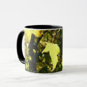 Ahorn-Blätter, Herbst, Herbst Tasse (Vorderseite Links)