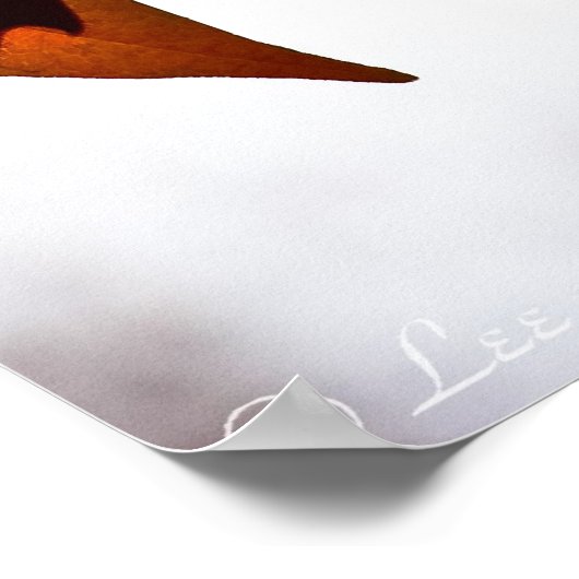 Ahorn-Blätter Herbstglühen-Poster drucken Poster (Ecke)