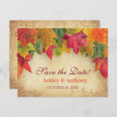 Ahorn-Blätter Hochzeitsherbst Save the Date Ankündigungspostkarte (Vorne/Hinten)