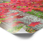 Ahorn-Blätter im Herbst Foto drucken (Ecke)