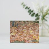 Ahorn-Blätter im Herbst Postkarte (Stehend Vorderseite)