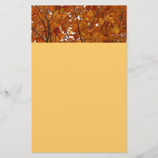Ahorn-Blätter in den Herbstzweigen Briefpapier (Vorderseite)