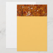Ahorn-Blätter in den Herbstzweigen Briefpapier (Vorne/Hinten)
