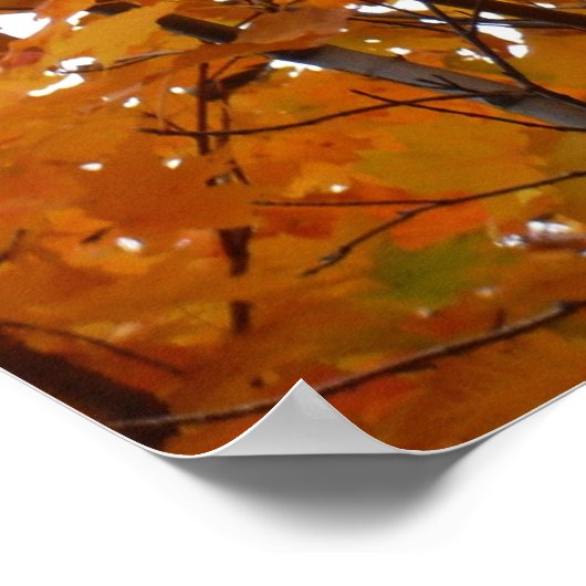 Ahorn-Blätter in den Herbstzweigen Poster (Ecke)