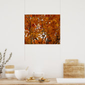 Ahorn-Blätter in den Herbstzweigen Poster (Küche)