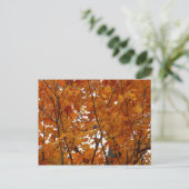 Ahorn-Blätter in den Herbstzweigen Postkarte (Stehend Vorderseite)