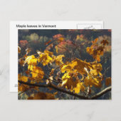Ahorn-Blätter in Vermont Postkarte (Vorne/Hinten)