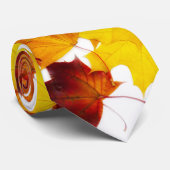 Ahorn-Blätter Krawatte (Gerollt)
