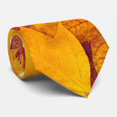Ahorn-Blätter Krawatte (Gerollt)
