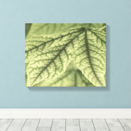 Ahorn-Blätter Leinwanddruck (Insitu (Holzboden))