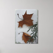 Ahorn-Blätter Leinwanddruck (Vorderseite)