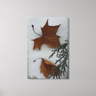 Ahorn-Blätter Leinwanddruck