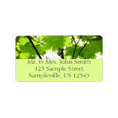 Ahorn-Blätter mit Regentropfen Adressaufkleber (Vorne)