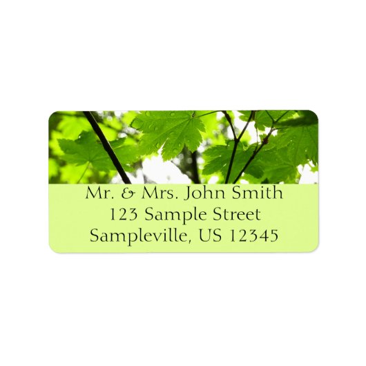 Ahorn-Blätter mit Regentropfen Adressaufkleber (Vorne)