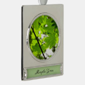 Ahorn-Blätter mit Regentropfen Banner-Ornament Silber (Rechts)